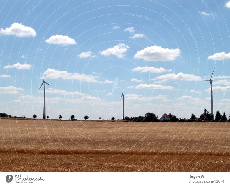 Drei Brüder Feld Wolken Sommer Windkraftanlage Korn Natur Himmel blau
