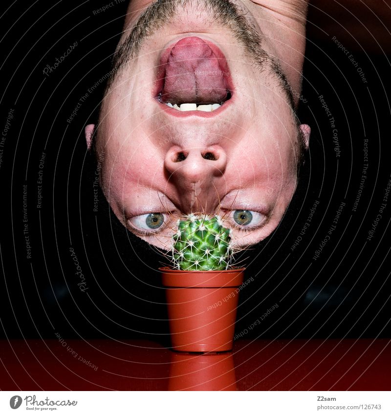 wachs doch endlich!!!!!!!!!!!!!!! Wachstum Blick Mütze schwarz Bart Kaktus Mann Pflanze rot Selbstportrait Tisch verkehrt lustig verrückt Lücke glänzend dunkel