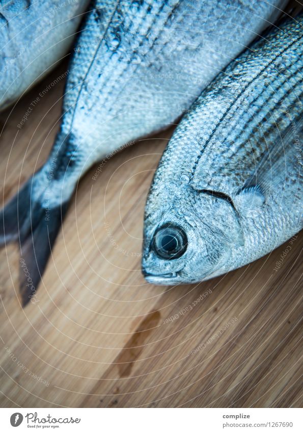 Fisherman's Friends 777 Lebensmittel Fisch Ernährung Mittagessen Abendessen Sushi Italienische Küche Ferien & Urlaub & Reisen Tier 3 fangen Jagd Dorade Angeln