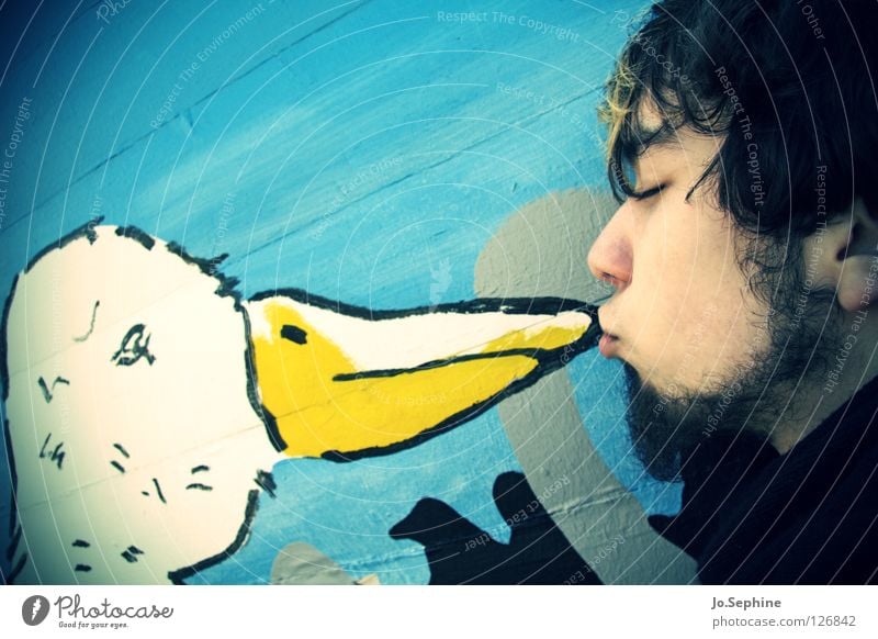 kiss the goose Mann Erwachsene Vogel berühren Küssen Liebe niedlich süß Tierliebe Gans Federvieh Kussmund Zuneigung Unsinn Außenaufnahme Schnabel Wandmalereien