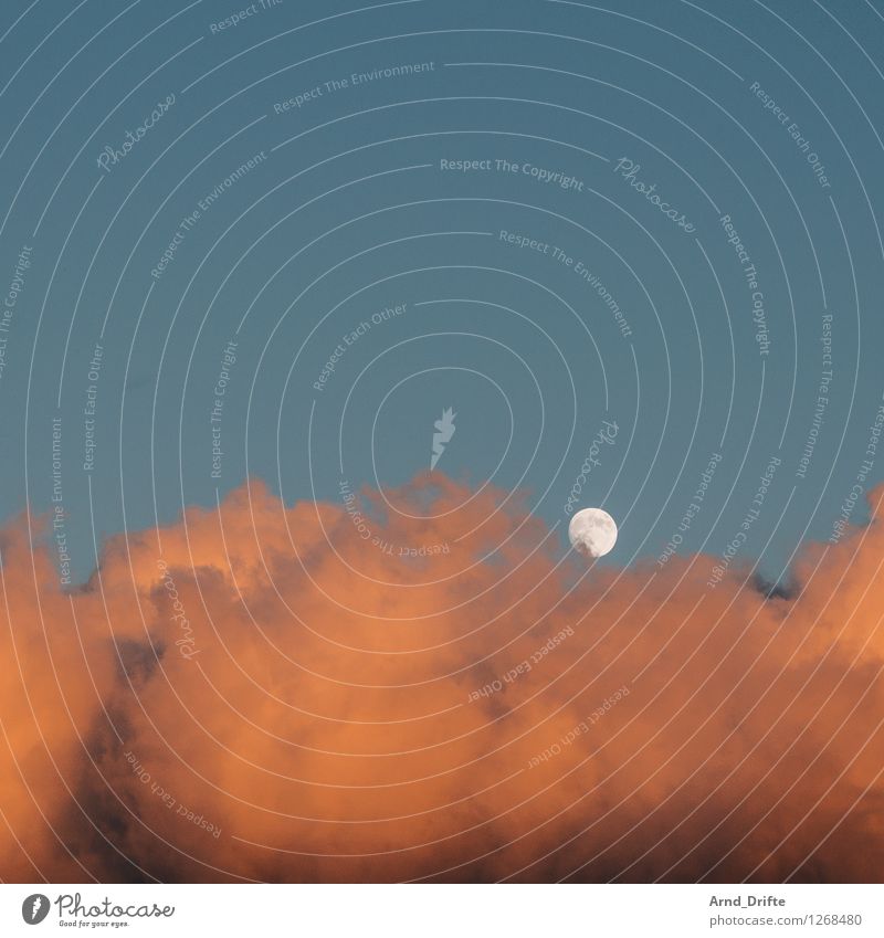 Mond und Wolke Himmel Wolken Schönes Wetter blau orange Romantisch Himmelskörper & Weltall hell hell-blau Beleuchtung Farbfoto Textfreiraum oben Morgen