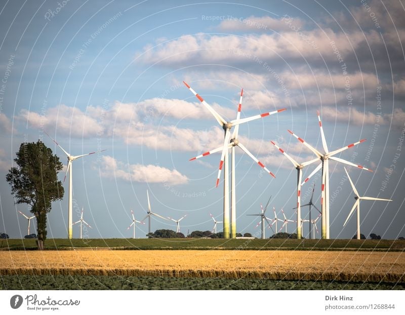 Windpark in Dithmarschen Technik & Technologie Fortschritt Zukunft Energiewirtschaft Erneuerbare Energie Windkraftanlage Energiekrise Industrie Umwelt Natur