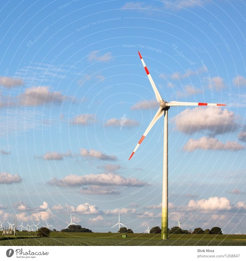 Windpark in Dithmarschen Maschine Technik & Technologie Fortschritt Zukunft Energiewirtschaft Erneuerbare Energie Windkraftanlage Energiekrise Umwelt Natur
