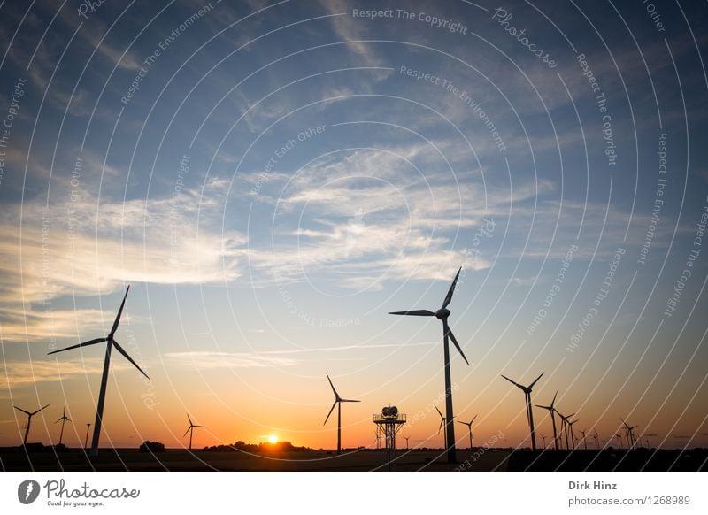 Windpark in Dithmarschen Technik & Technologie Wissenschaften Fortschritt Zukunft Energiewirtschaft Erneuerbare Energie Windkraftanlage Energiekrise Industrie