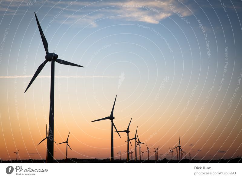 Windpark in Dithmarschen Maschine Technik & Technologie Wissenschaften Fortschritt Zukunft Energiewirtschaft Erneuerbare Energie Windkraftanlage Energiekrise