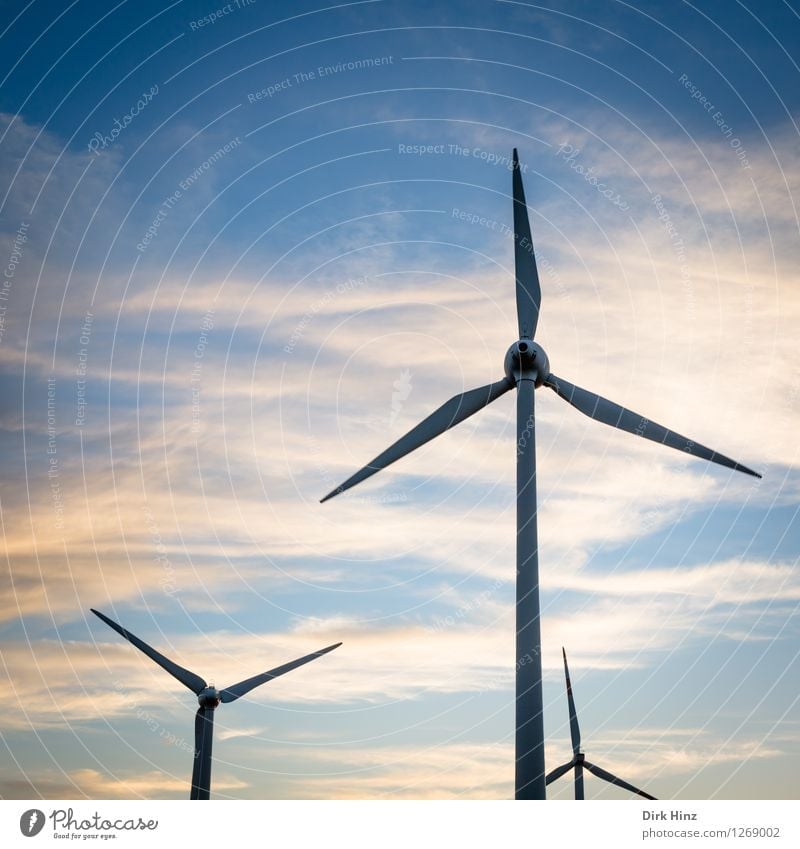 Windkraft in Dithmarschen Maschine Technik & Technologie Wissenschaften Fortschritt Zukunft Energiewirtschaft Erneuerbare Energie Windkraftanlage Energiekrise