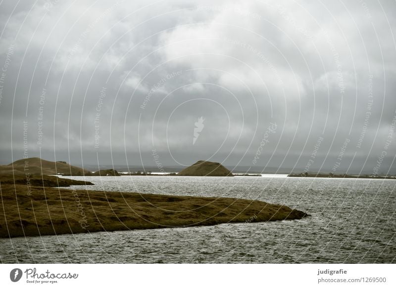 Island Umwelt Natur Landschaft Urelemente Wasser Himmel Wolken Klima Wetter Sturm Vulkan Seeufer Insel Myvatn See außergewöhnlich bedrohlich dunkel kalt