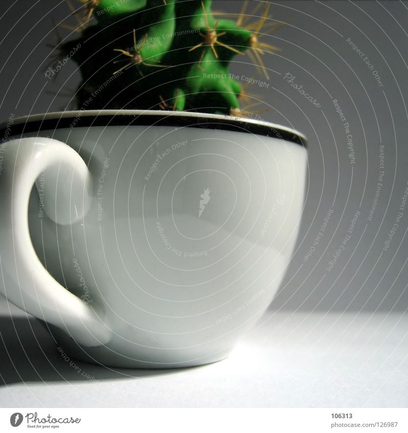 KAKTUS Kaktus Tasse grün stachelig Stachel stechen piecken klein Pflanze süß edel weiß Keramik Illusion Surrealismus Ernährung Tragegriff Wachstum Rauschmittel