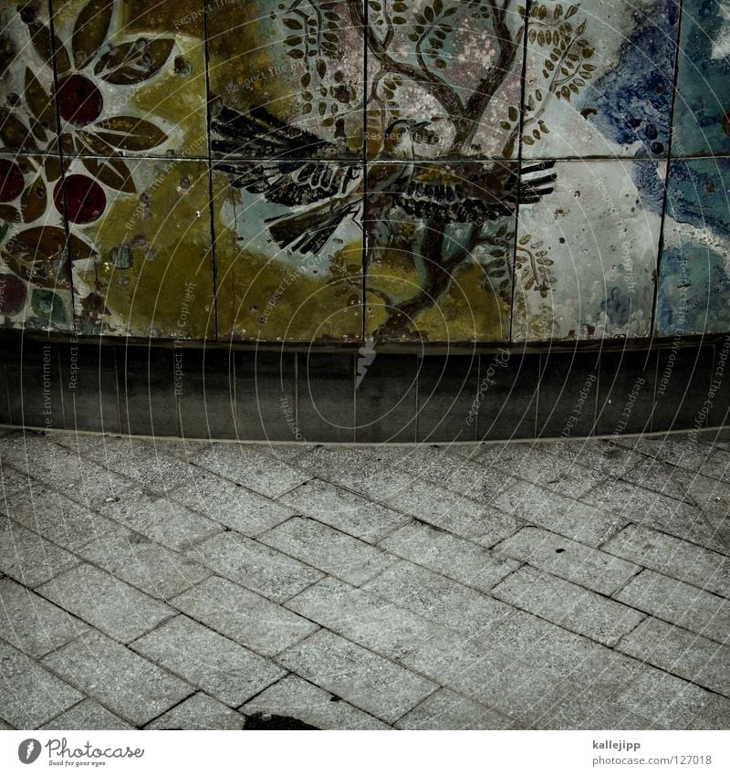 paradies in beton Entführung Beton Brunnen Alexanderplatz Vogel Mount Eden trist Mosaik Gemälde Osten Kunst Pflanze Dekoration & Verzierung Blatt Leben