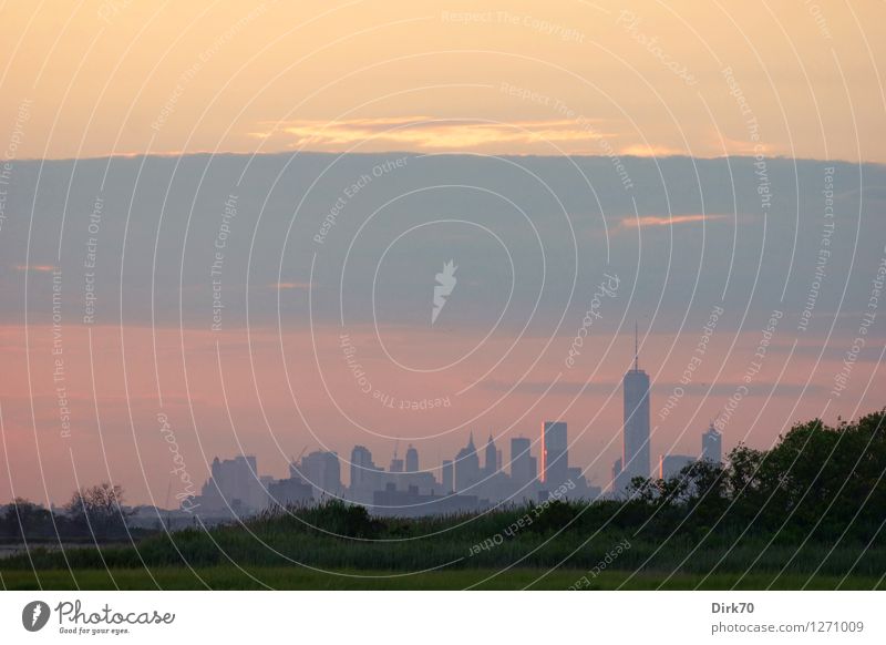 Manhattan Skyline aus der Ferne Ferien & Urlaub & Reisen Tourismus Umwelt Natur Sonnenaufgang Sonnenuntergang Sommer Schönes Wetter Baum Gras Sträucher Seeufer