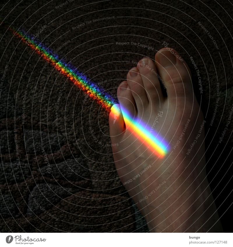 llustra me Zehen Teppich Regenbogen Muster mehrfarbig regenbogenfarben Spektralfarbe weiß Licht rot gelb Gefäße Mann Behaarung schön Haus Raum Fuß Farbe