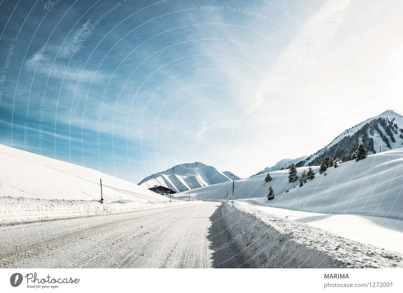 Winter landscape in the Alps Berge u. Gebirge Natur Landschaft Alpen Verkehr Verkehrswege Straße kalt blau weiß Asphalt mountains hill blue Deutschland gefroren