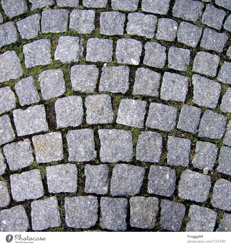 Pflaster Straßenbelag grau Quadrat Granit Verkehrswege Stein Kopfsteinpflaster Hintergrundbild Detailaufnahme Bildausschnitt