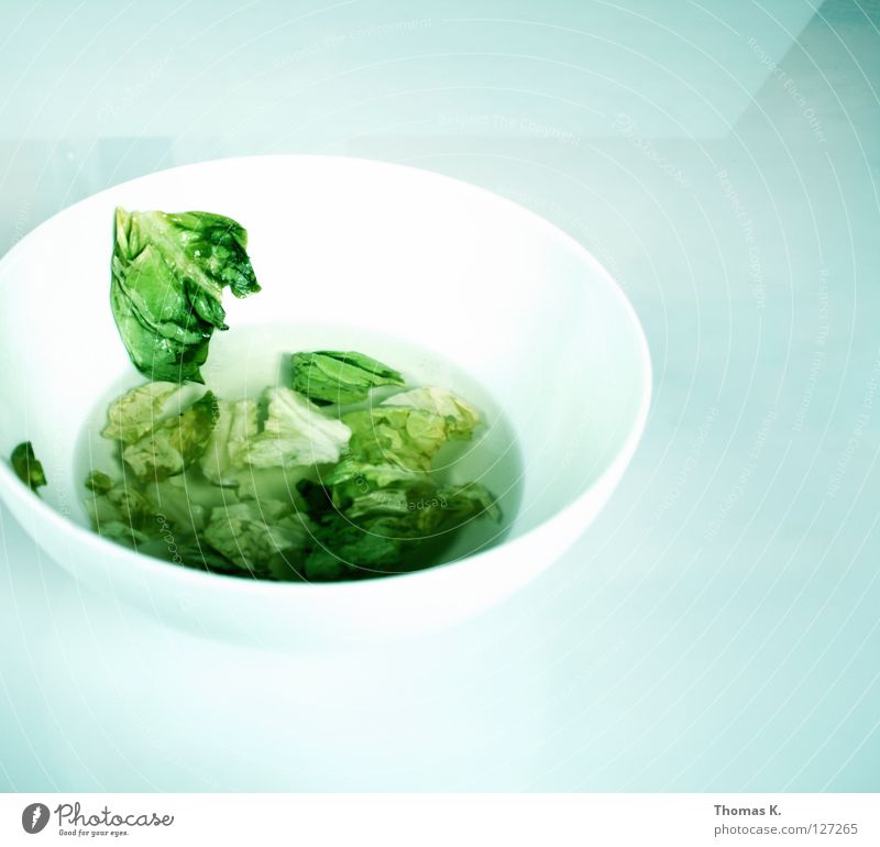 Nicht über den Tellerrand sehen Kopfsalat Essig Salatblatt grün weiß Gemüse Schalen & Schüsseln marinade Erdöl