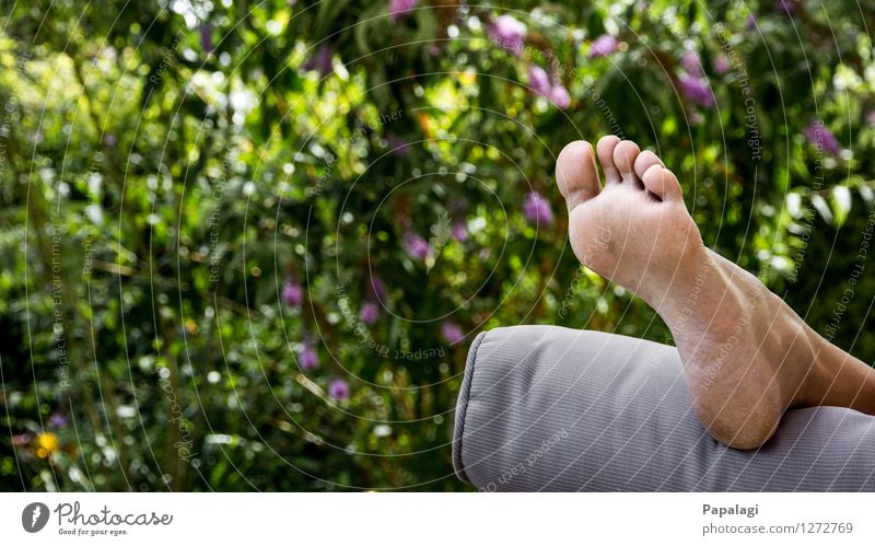 Nach der Gartenarbeit Lifestyle Sommer Frau Erwachsene Fuß Zehen Fußsohle 1 Mensch Umwelt Natur Schönes Wetter Sträucher Erholung frei natürlich Freiheit Freude