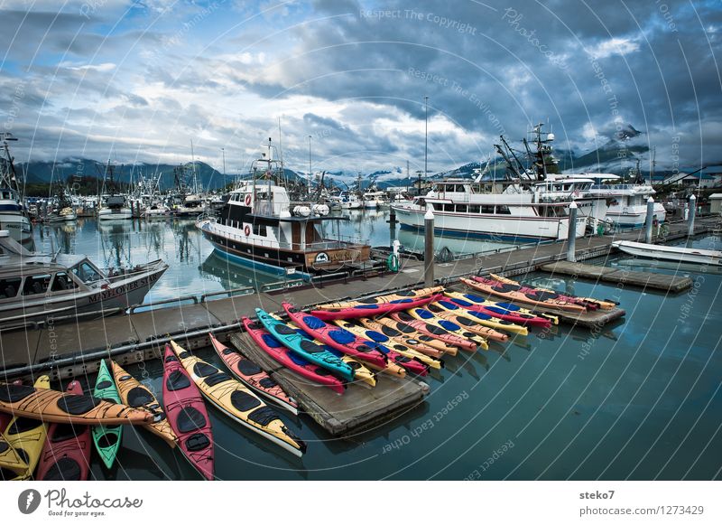 Kajak-Mikado Fjord Schifffahrt Passagierschiff Segelboot Jachthafen Beginn entdecken ruhig Tourismus Valdez Alaska Feierabend Außenaufnahme Textfreiraum oben