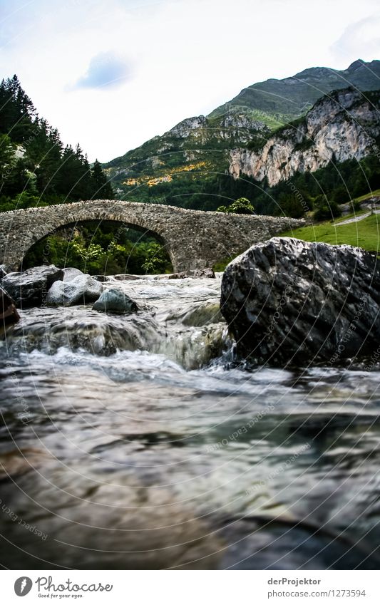 Pyrenäen-Wanderweg 12 Ferien & Urlaub & Reisen Tourismus Ausflug Abenteuer Freiheit Berge u. Gebirge wandern Umwelt Natur Landschaft Pflanze Tier Sommer