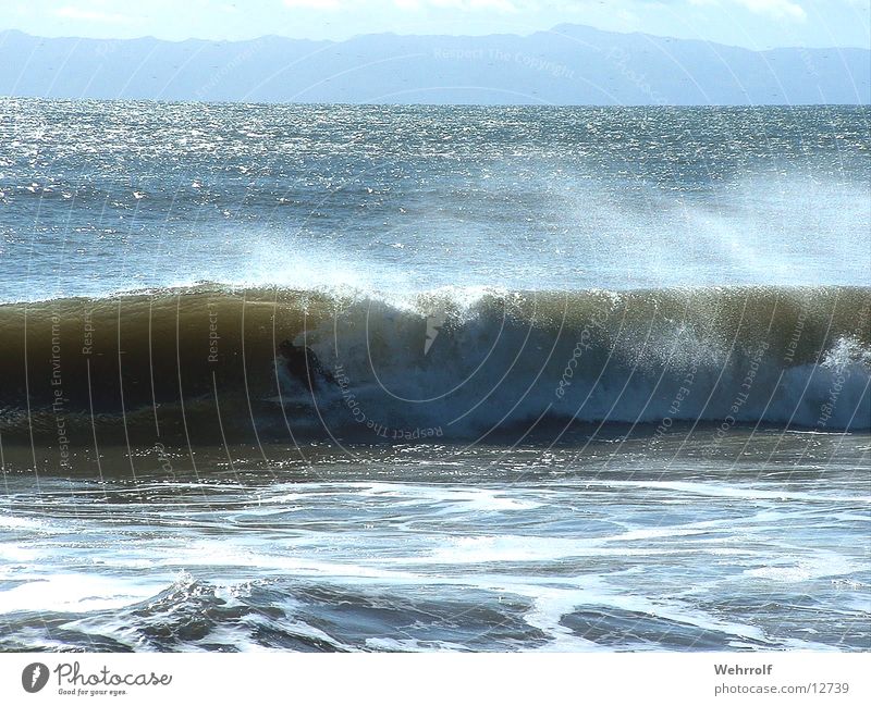 Surfer in Welle Meer Wellen Kalifornien Strand Wasser USA San Diego County