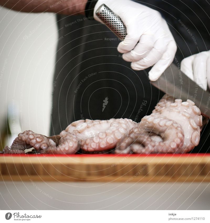 Oktopus 5 Lebensmittel Meeresfrüchte Ernährung Messer Mann Erwachsene Hand 1 Mensch Wildtier Totes Tier Tintenfisch Noppe Saugnapf authentisch Ekel abschneiden