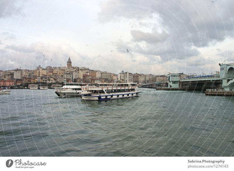 Fabulous Istanbul harmonisch Zufriedenheit Ferien & Urlaub & Reisen Tourismus Ausflug Abenteuer Sightseeing Städtereise Meer Winter Feierabend Umwelt Luft