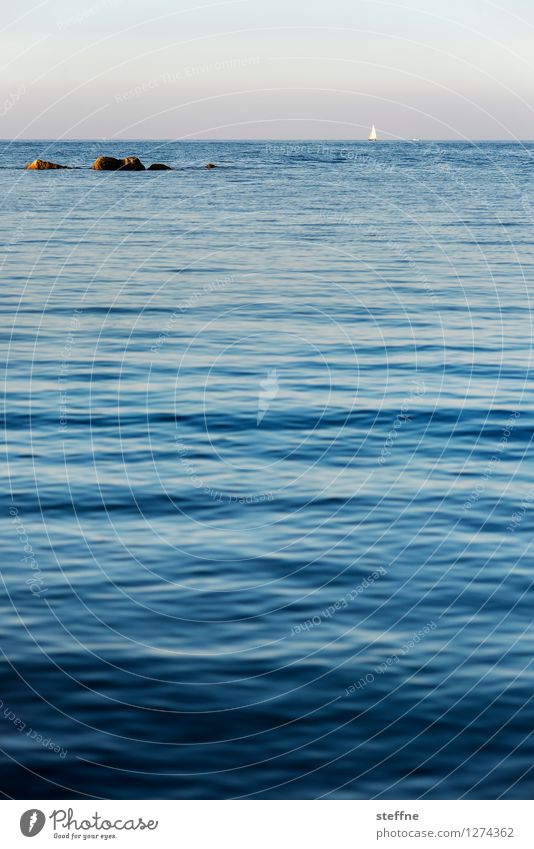 Abends am Mittelmeer Wasser Wolkenloser Himmel Sommer Schönes Wetter Küste Meer Adria Tourismus Ferien & Urlaub & Reisen Segeln Segelboot Wellen Erholung