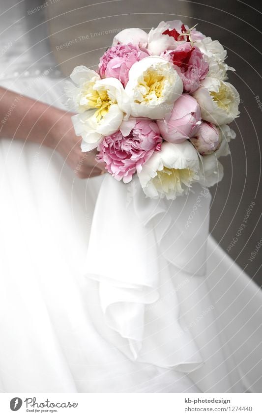 Bridal bouquet of colorful flowers Hochzeit Hand Blume Rose Blüte Bekleidung Blumenstrauß mehrfarbig rosa weiß Gefühle bloom bridal bride ceremony church floret