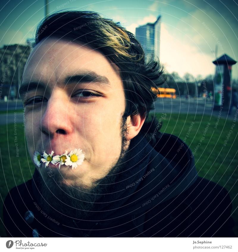 Frühling zum Mittag Freude Unbeschwertheit Gänseblümchen Wildkräuter Blumen Blümchen Gesicht Junger Mann 18-30 Jahre Erwachsene Porträt Blick in die Kamera