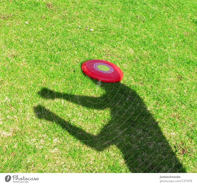 Die Welt ist eine Scheibe Frisbee Silhouette grün rot Gras Diskus Spielen Kopfschmerzen Freude Fensterscheibe Schatten Sonne Garten Schattenboxen Lautsprecher
