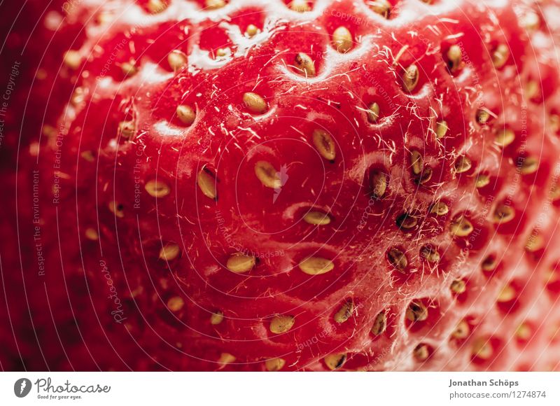 Die Erdbeere III Lebensmittel Frucht Ernährung Essen Frühstück Bioprodukte Vegetarische Ernährung Gesundheit Gesunde Ernährung genießen ästhetisch lecker Speise