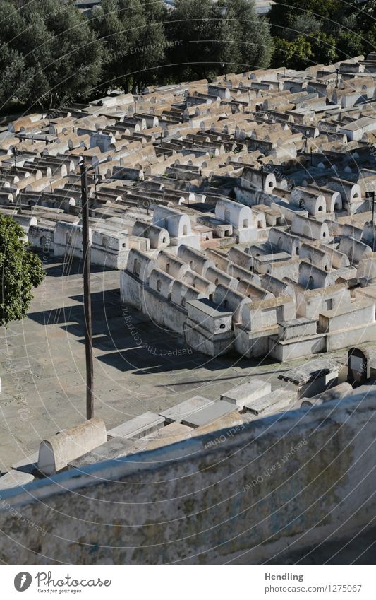 Jüdischer Friedhof Architektur Kultur Fes Marokko Afrika Bauwerk Stein trösten ruhig Hoffnung Glaube Traurigkeit Tod Respekt Stolz einzigartig Religion & Glaube