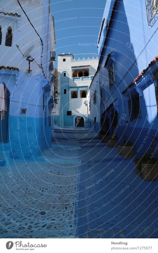 Blau durch die Strasse Künstler Maler Museum Kunstwerk Architektur Himmel Sonne Chechaouen Marokko Afrika Kleinstadt Stadtzentrum Haus Romantik blau Straße
