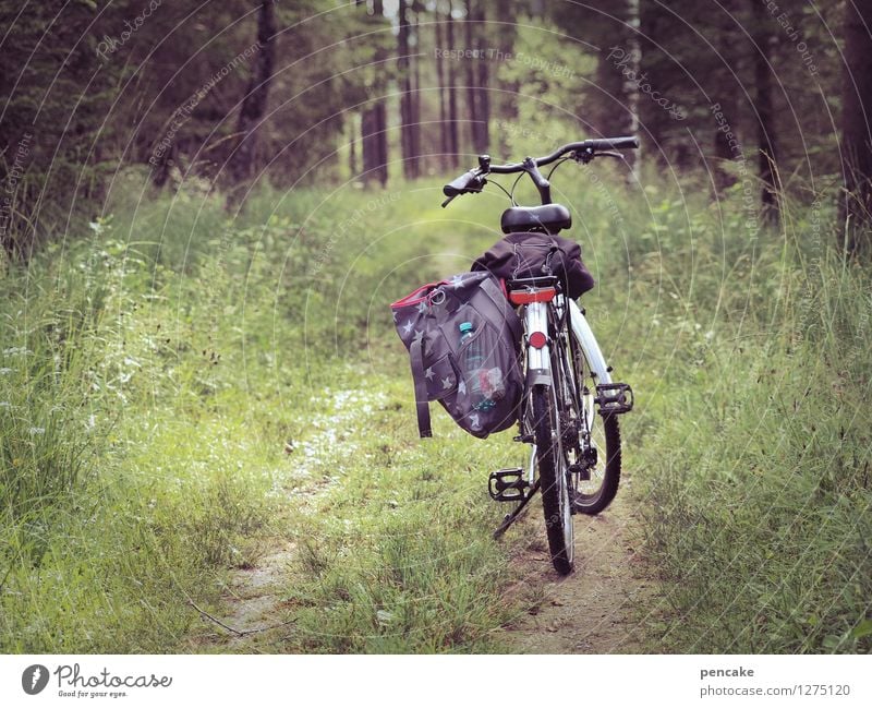 radius erweitern Fahrradtour Natur Landschaft Sommer Wald entdecken Erholung fahren Fitness wandern Freiheit Freizeit & Hobby Freude Tourismus Gepäck Fahrradweg
