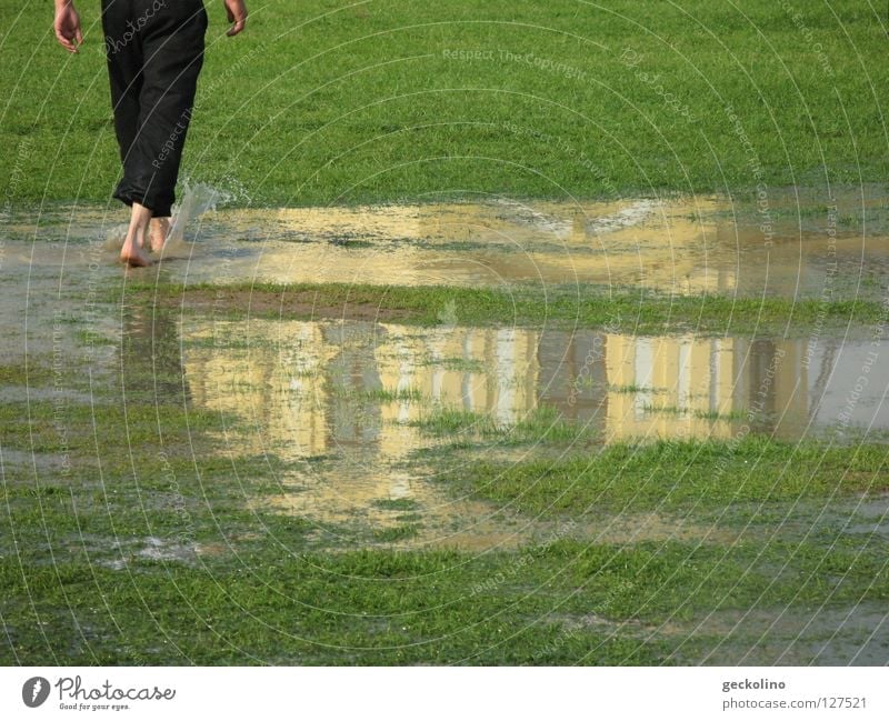 temporarily Pfütze Reflexion & Spiegelung Flußauen Barfuß Schlamm Documenta Wiese nass grün Gleichgültigkeit gehen Gewitter Sommer Regen Orangerie Wasser d12