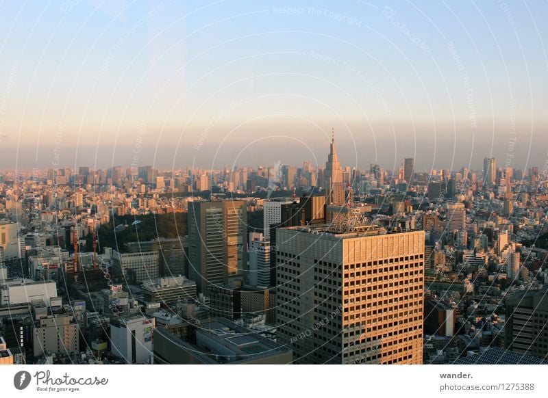Skyline der Großstadt Tokyo – Abendstimmung Japan Ferne Sightseeing Städtereise Himmel Horizont Sonnenlicht Schönes Wetter Asien Hauptstadt Hafenstadt