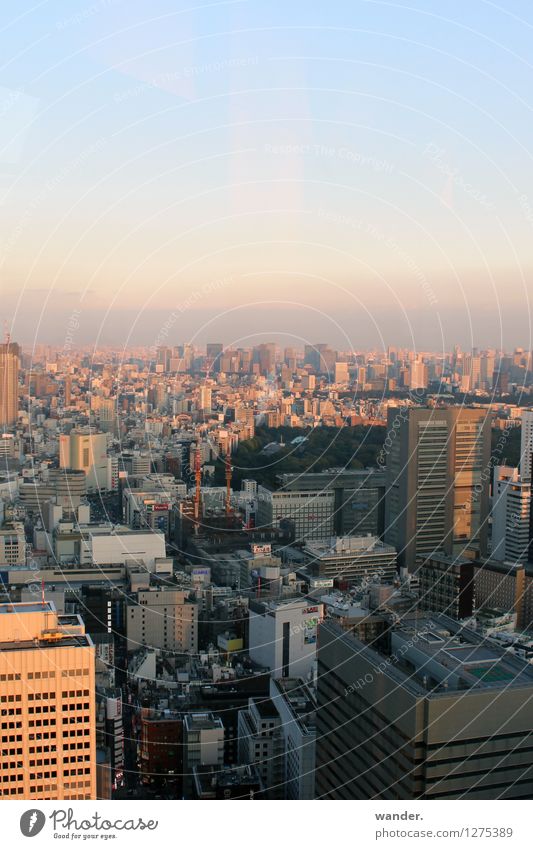 Skyline der Großstadt Tokyo – Abendstimmung Japan Ferne Sightseeing Städtereise Himmel Horizont Sonnenlicht Schönes Wetter Asien Hauptstadt Hafenstadt