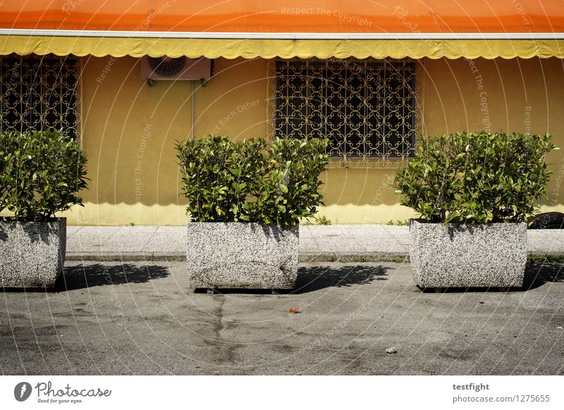 total gelbe wand Stadt Menschenleer Bauwerk Gebäude Architektur Straße trashig trist Wärme grün orange Pflanze Klimaanlage Gitter Beton Fassade Farbfoto
