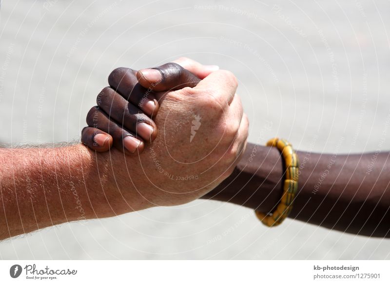 Handshake between a Caucasian and an African Gesundheit Wirtschaft Handel Business Erfolg Team Mensch maskulin Erwachsene Finger 2 30-45 Jahre