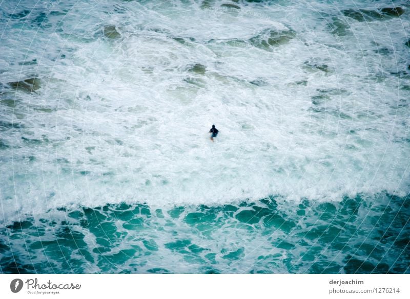 der Mann und das Meer. Einsamer Schwimmer in der Brandung an der Ostküste von Queensland / Australia. Freude sportlich Schwimmen & Baden Schwimmsport Sommer