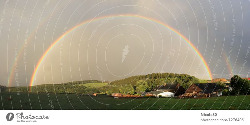 Regenbogen überm Dorf Sommer Wetter Glück ästhetisch Naturwunder Farbfoto Außenaufnahme Tag Panorama (Aussicht)