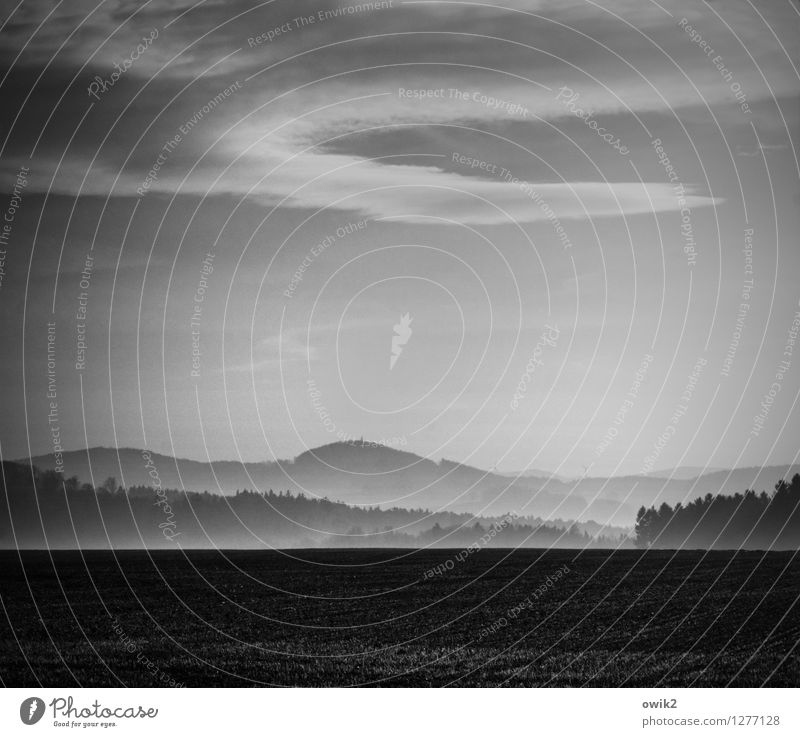 Morgen Umwelt Natur Landschaft Luft Himmel Wolken Horizont Nebel Feld Wald frisch Unendlichkeit ruhig Idylle Ferne Morgennebel Dunst Schwarzweißfoto