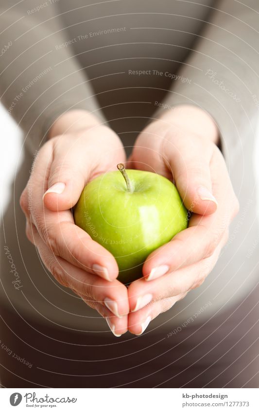 Woman holding one green apple Lebensmittel Apfel Gesundheit Wellness Wohlgefühl Joggen Yoga feminin Frau Erwachsene Hand 1 Mensch 30-45 Jahre Diät Essen active