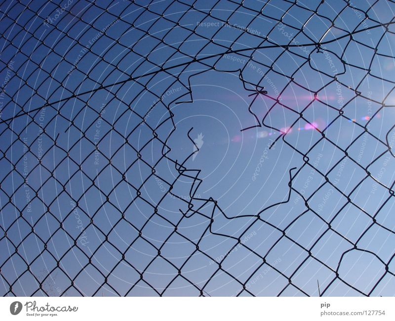 laufmasche Netz Draht Maschendraht Maschendrahtzaun Zaun Barriere Grenze Frieden Pferch Gitter Gehege gefangen eingeschlossen eingeengt Haftstrafe eingezäunt