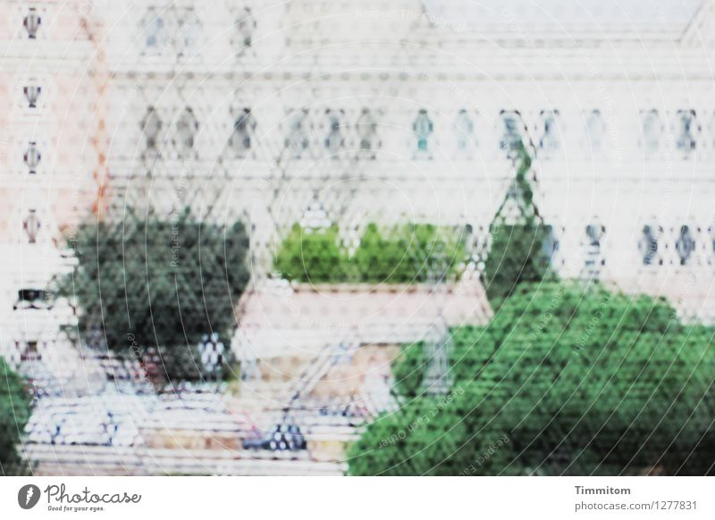 Irgendwo in Italien (16). Grünpflanze Rom Palast Gitternetz einfach grau grün schwarz Gefühle Besichtigung Innenhof Kunst Kultur Durchblick Farbfoto