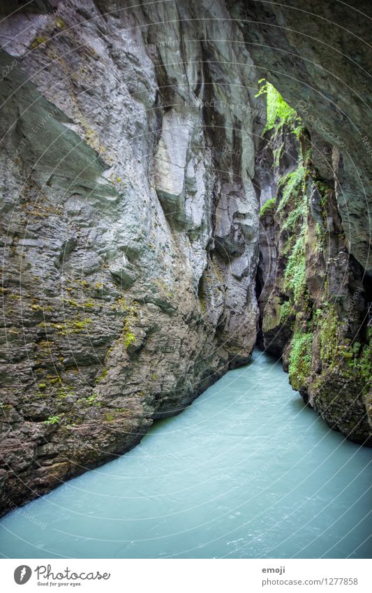 Schlucht Umwelt Natur Landschaft Wasser Felsen Fluss Stein natürlich türkis Schweiz Tourismus Ausflugsziel Attraktion Farbfoto Außenaufnahme Menschenleer Tag