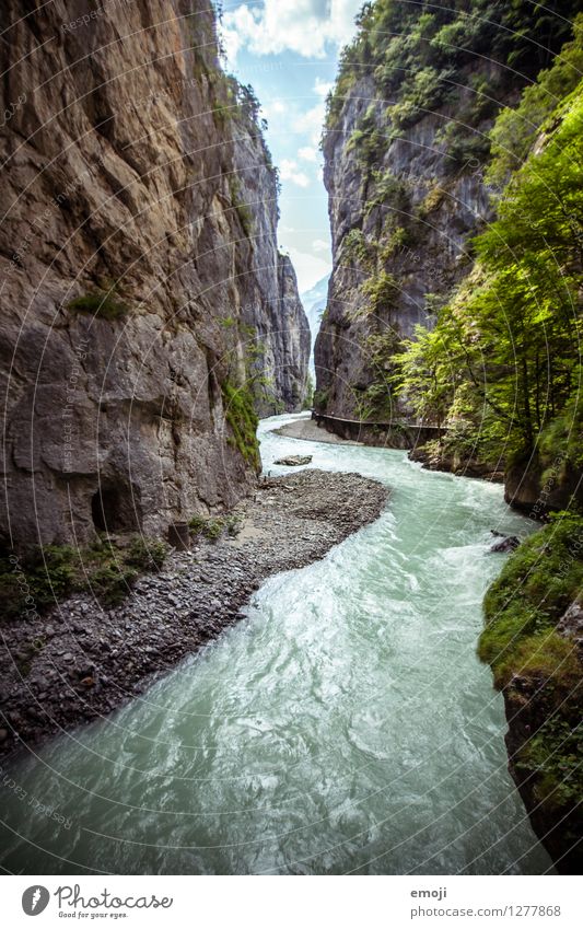 Aareschlucht Umwelt Natur Landschaft Sommer Schönes Wetter Schlucht Flussufer außergewöhnlich aareschlucht Schweiz Sehenswürdigkeit Attraktion Naturphänomene
