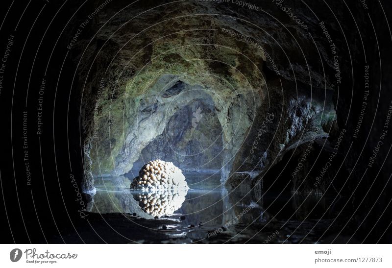 Höhle Umwelt Natur Urelemente Wasser Stein Gesteinsformationen außergewöhnlich dunkel Naturphänomene Sehenswürdigkeit Farbfoto Menschenleer Nacht Kunstlicht