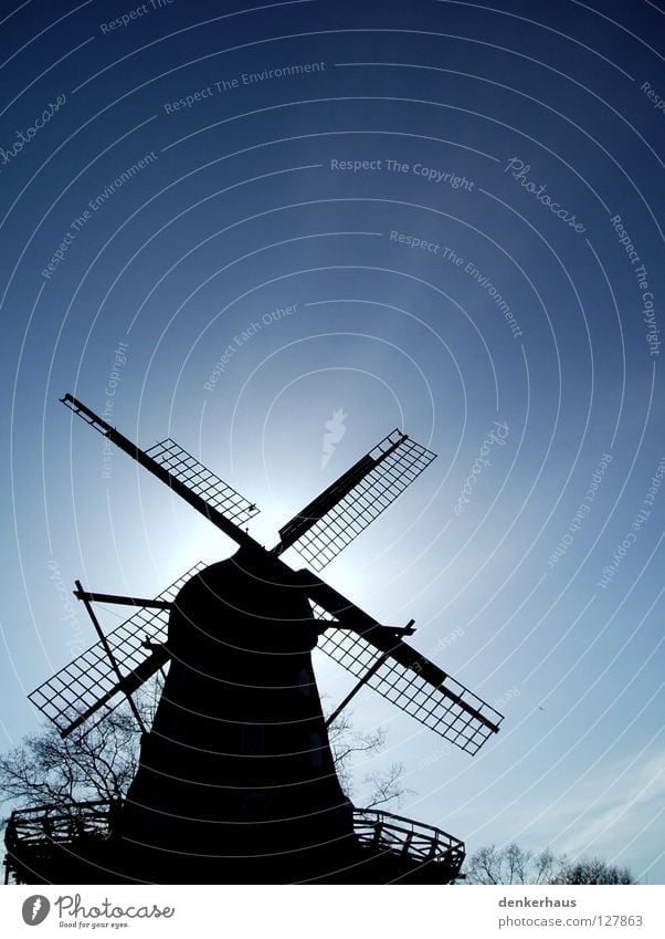 Versteckt! Mühle Windmühle Bauwerk Sonne weiß schwarz Silhouette historisch verstecken blau Himmel Schönes Wetter Kontrast Schatten