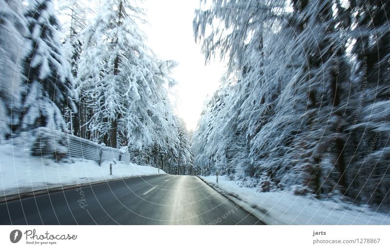ab ins kühle Winter Wetter Eis Frost Schnee Schneefall Baum Wald Straße fahren frisch nass Geschwindigkeit Natur Eile Farbfoto Außenaufnahme Menschenleer