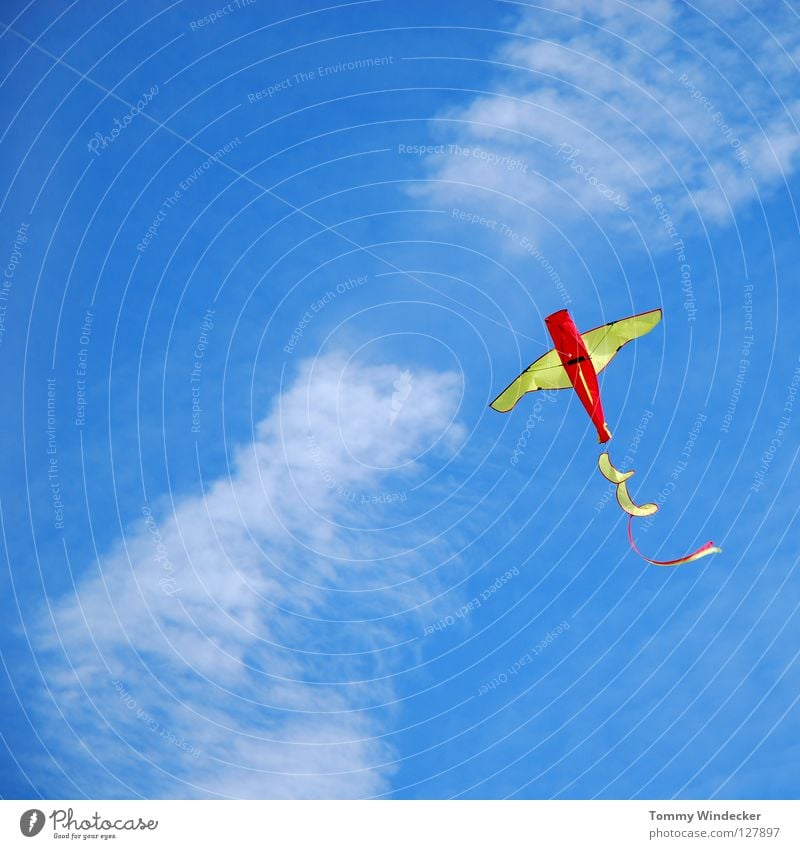 Kite Aerial Photography III Drache Flugzeug Lenkdrachen Sturm mehrfarbig Freizeit & Hobby Spielzeug Basteln gebastelt Herbst Drachenfliegen Luft Wolken steigen
