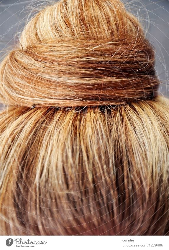 verknotet Junge Frau Jugendliche Haare & Frisuren blond schön Knoten Haarsträhne gedreht wickeln fein Ordnung feminin aufräumen aufgewickelt natürlich Haarfarbe